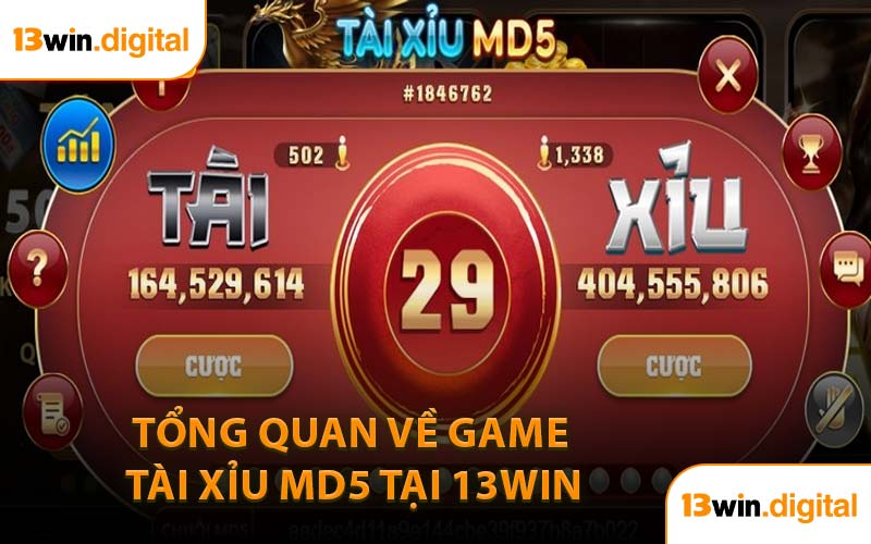 Tổng Quan Về Game Tài Xỉu MD5 Tại 13WIN