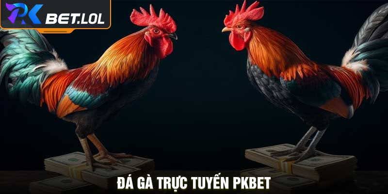 Đá gà trực tuyến Pkbet